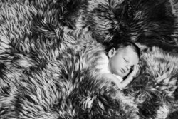 Baby Newborn Fotoshooting by Beauty Portraits Studio