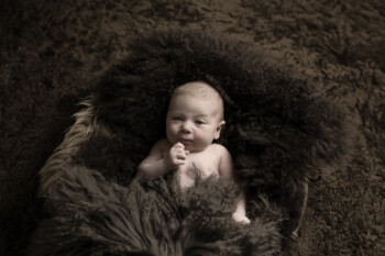 newborn photoshoot basel